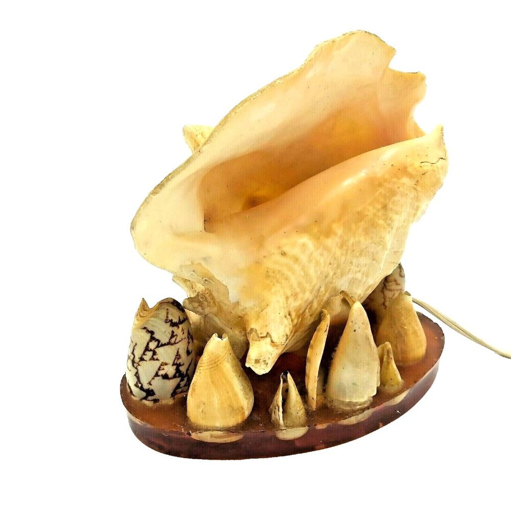 Conch Sea Shell Lamp Ocean Beach House Art Key Largo Large 1950 Genuine Shell